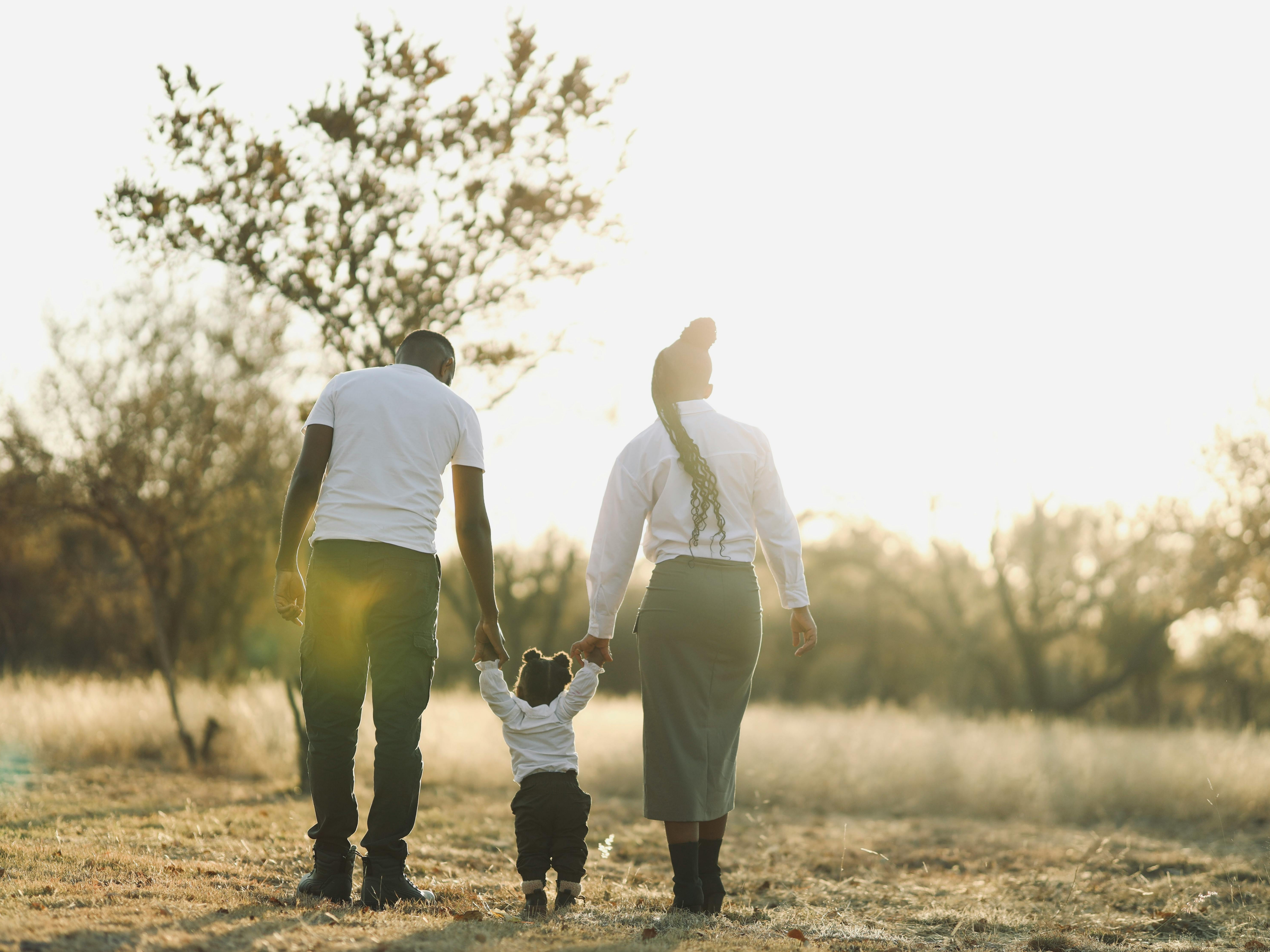 Parents and toddler walking hand in hand through a sunlit field